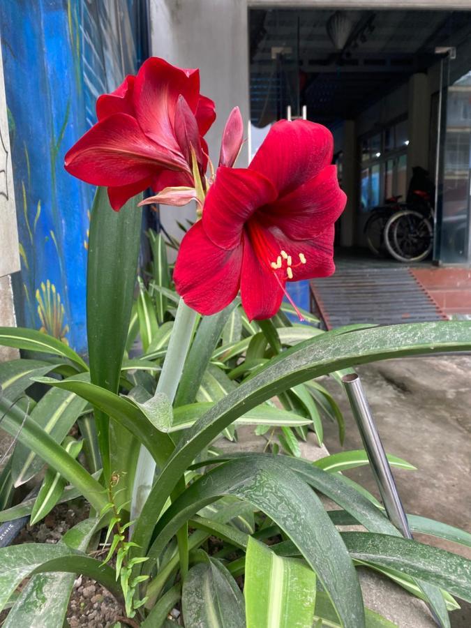 Thien Thanh Hotel Phong Nha Luaran gambar